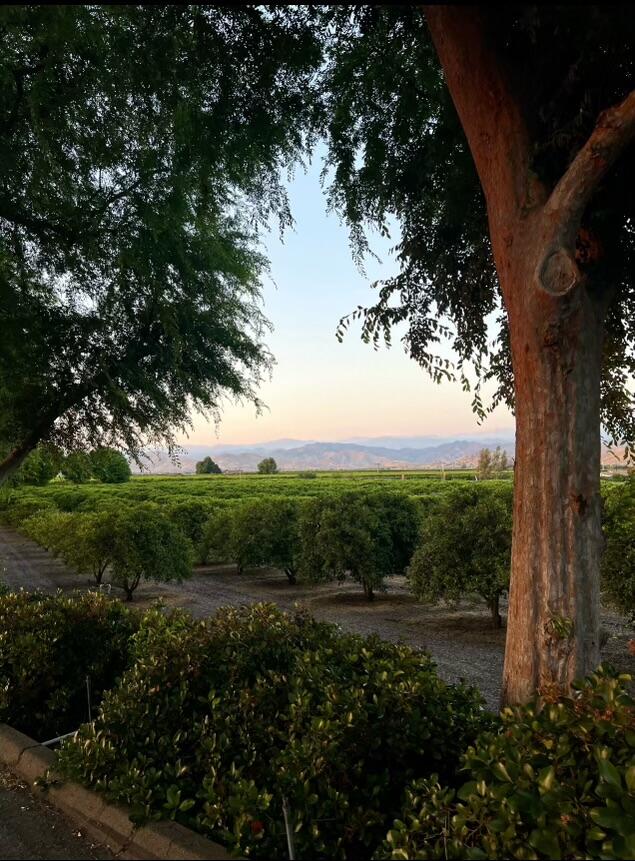 0 Lot #11 Valley View Drive, Exeter, CA 93221