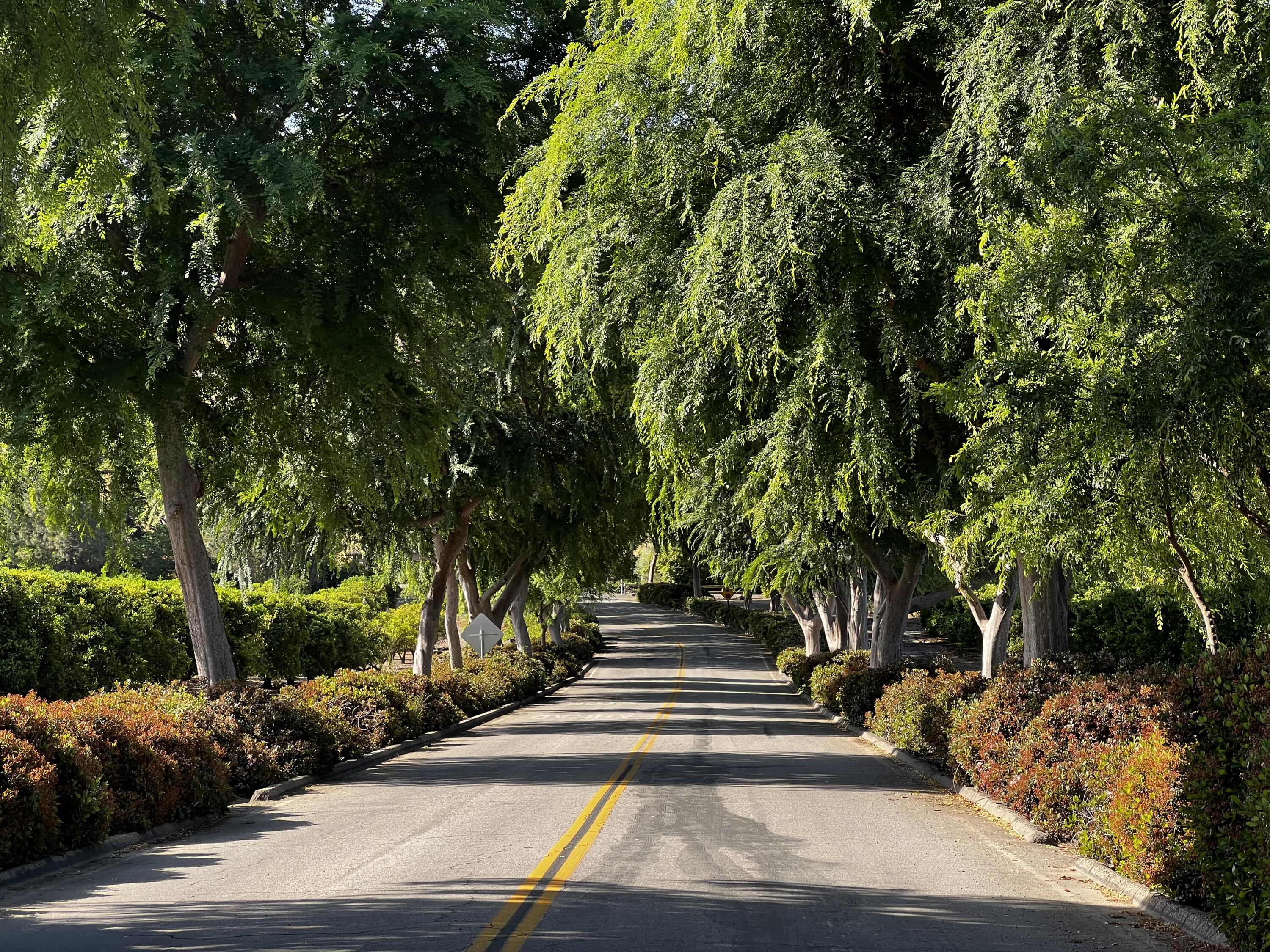 0 Lot #11 Valley View Drive, Exeter, CA 93221