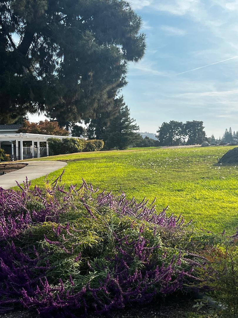 0 Lot #11 Valley View Drive, Exeter, CA 93221