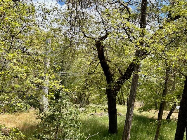 340 Cedar Brook Trl, California Hot Springs, CA 93207