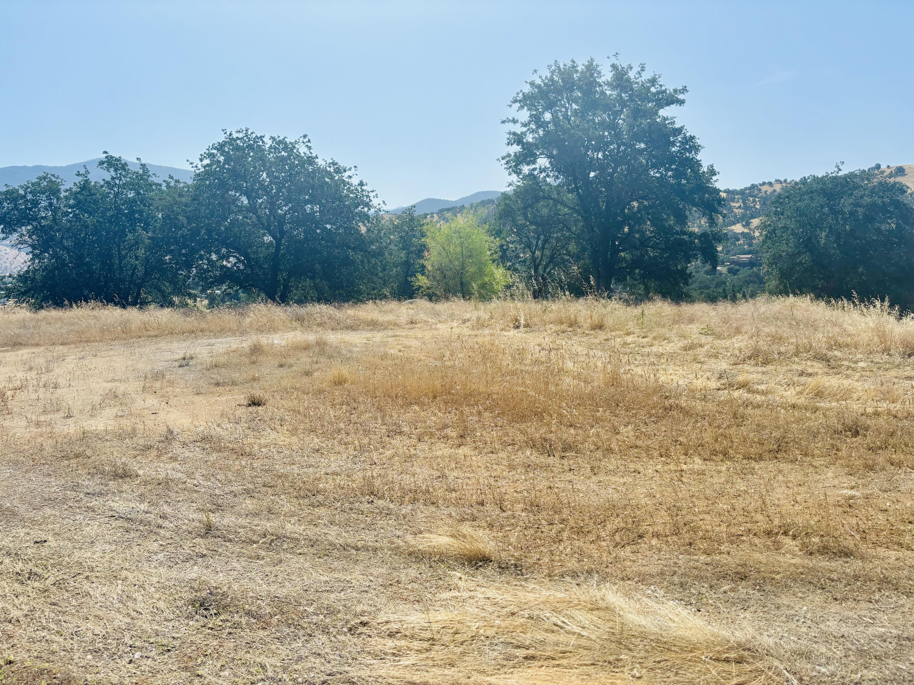 16295 Wrangler Dr, Springville, CA 93265