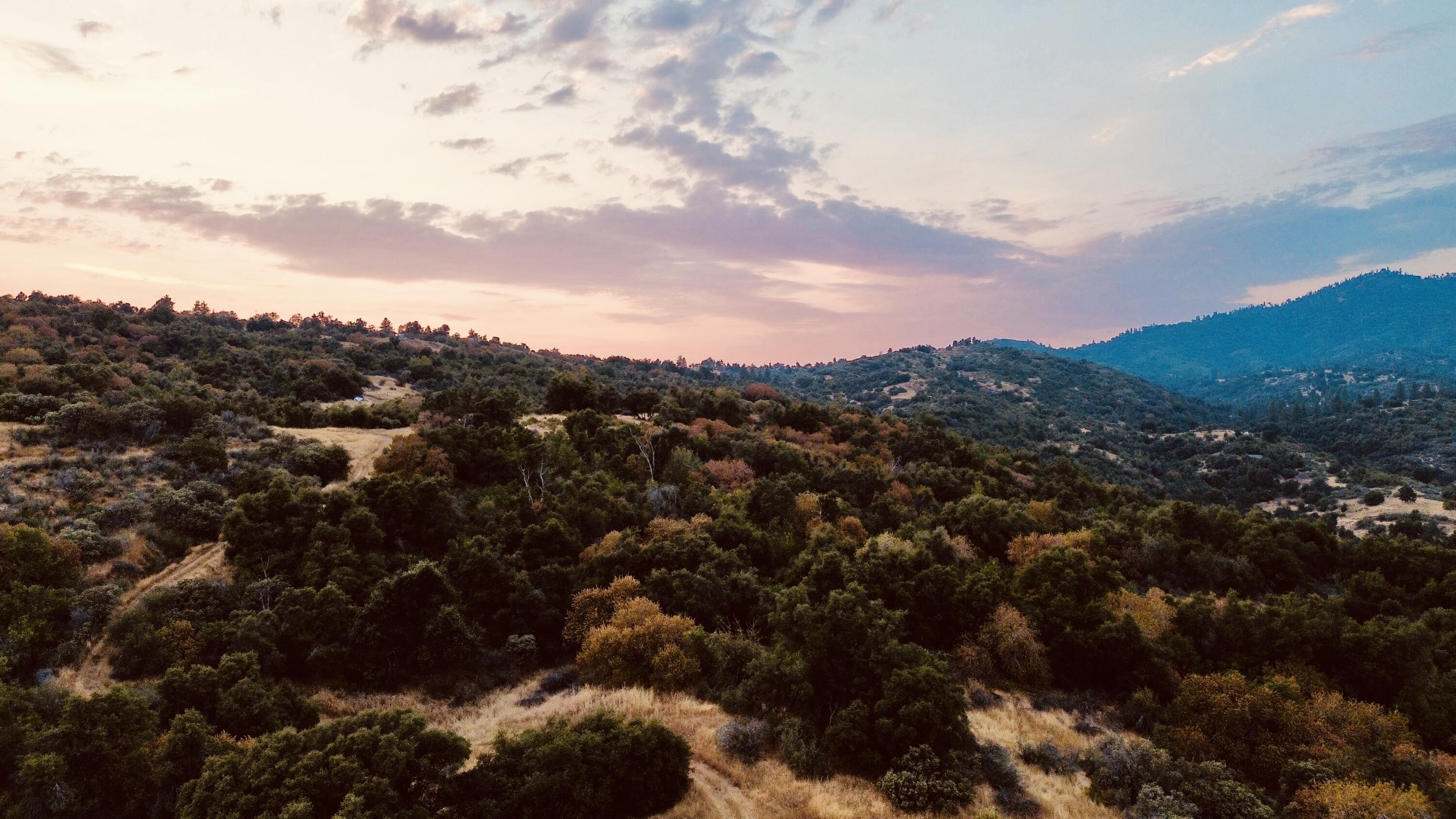 Nn Hogback, Badger, CA 93603