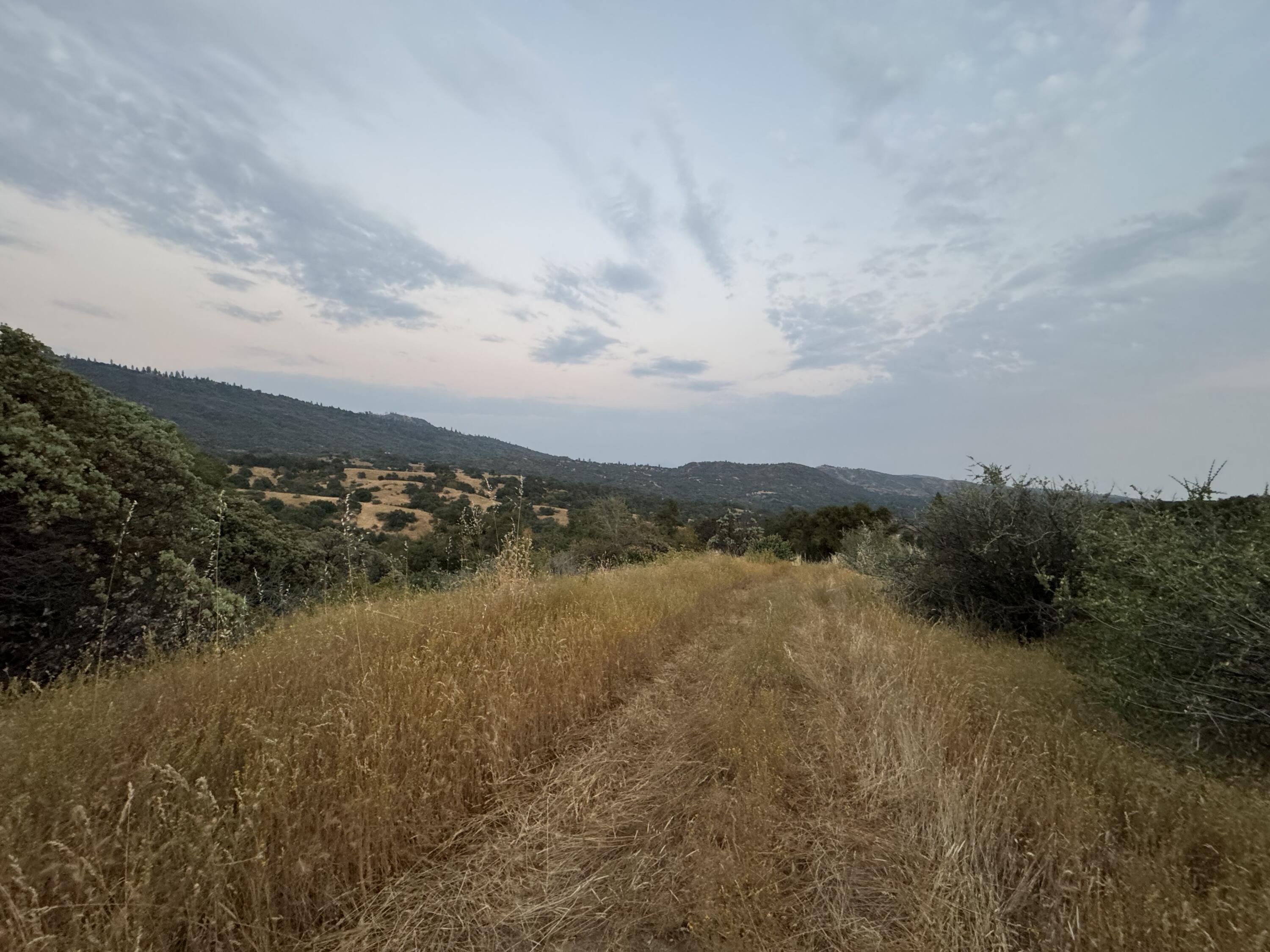 Nn Hogback, Badger, CA 93603