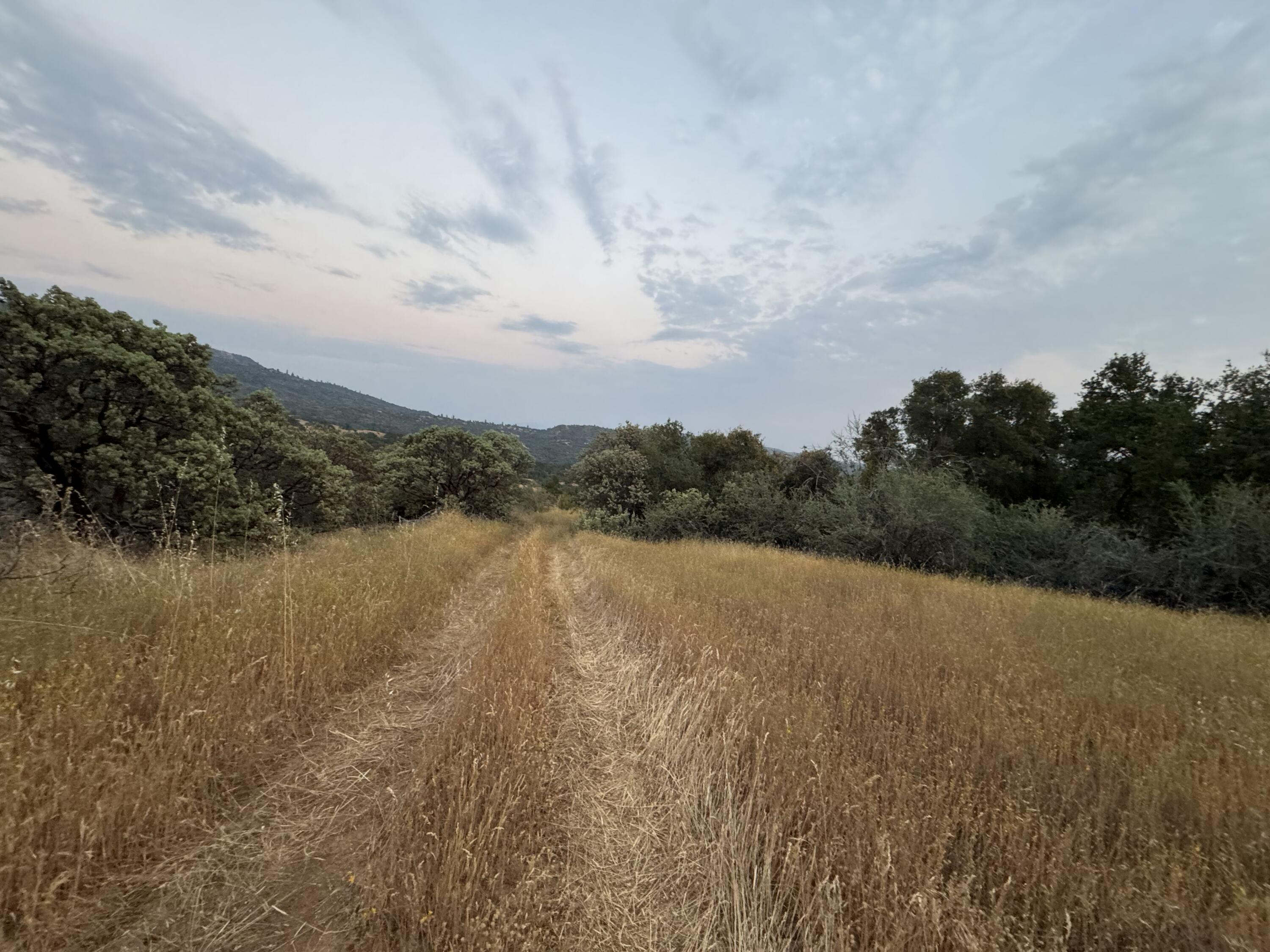 Nn Hogback, Badger, CA 93603