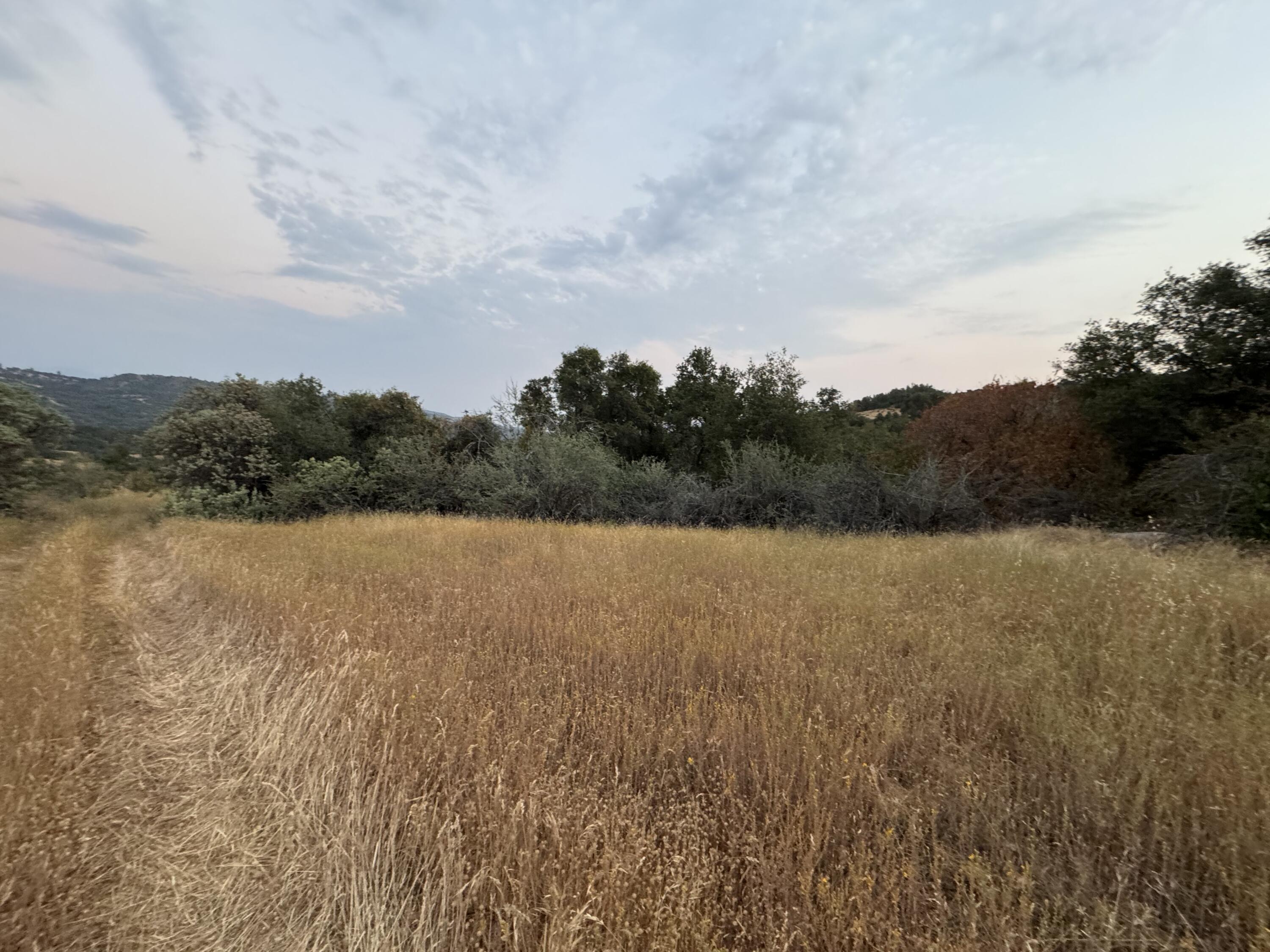 Nn Hogback, Badger, CA 93603