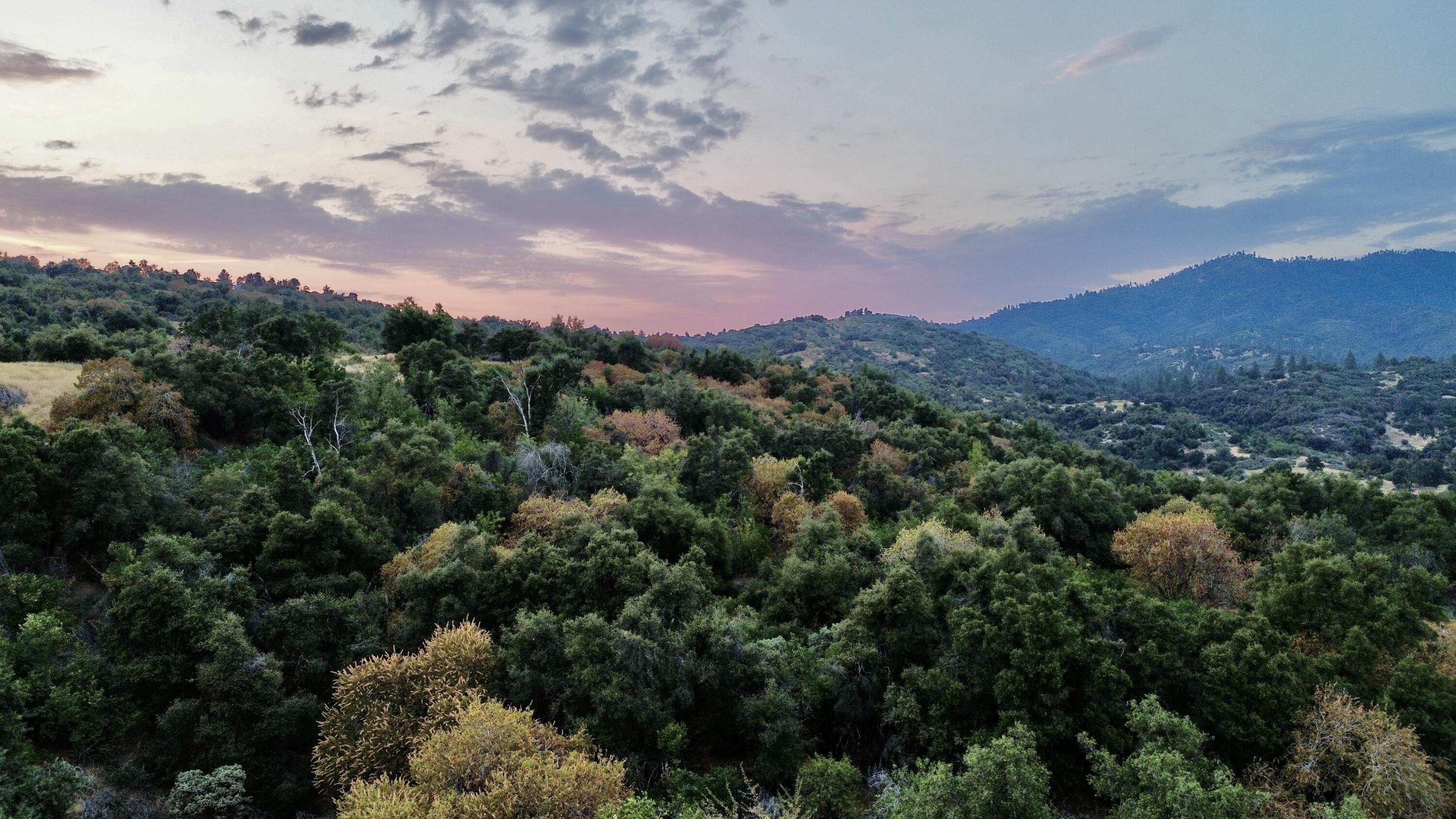 Nn Hogback, Badger, CA 93603