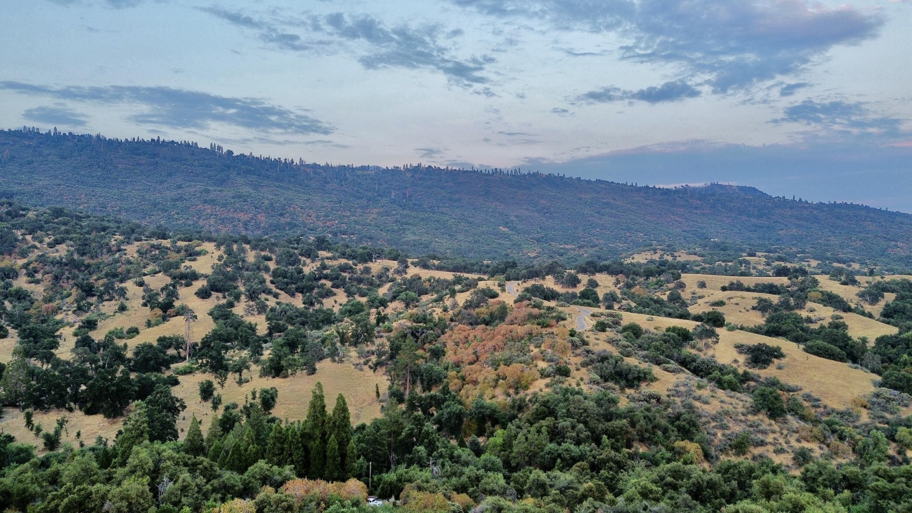 Nn Hogback, Badger, CA 93603