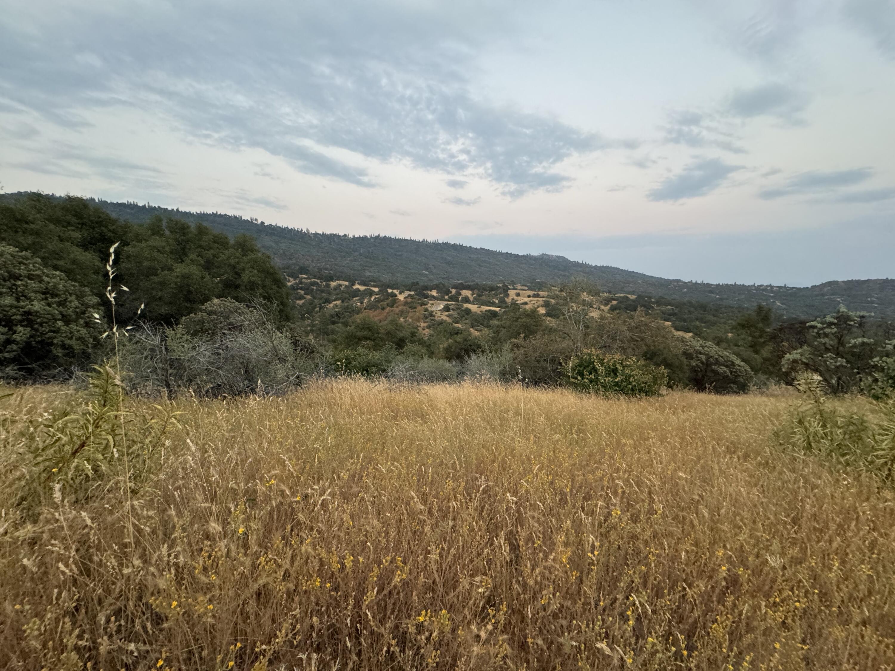 Nn Hogback, Badger, CA 93603