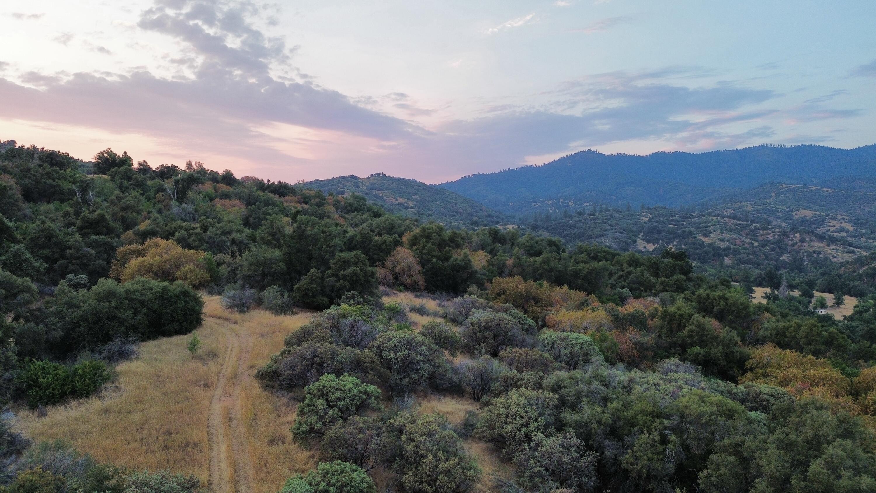 Nn Hogback, Badger, CA 93603