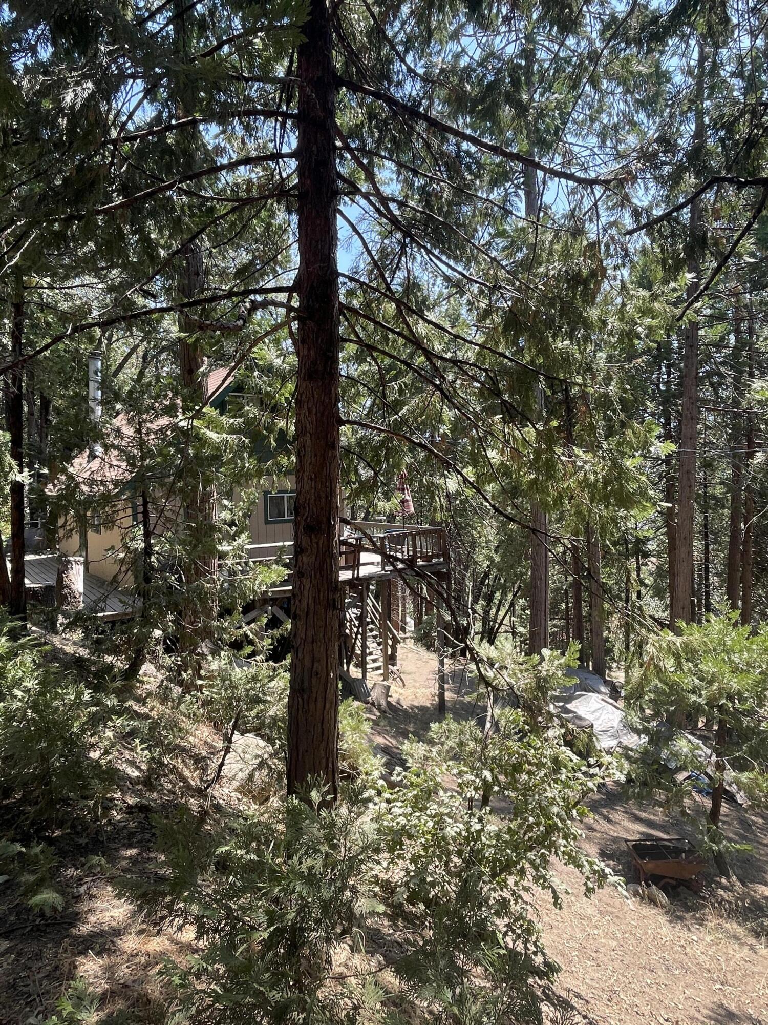 51853 Highway 190, Cedar Slope, CA 93265
