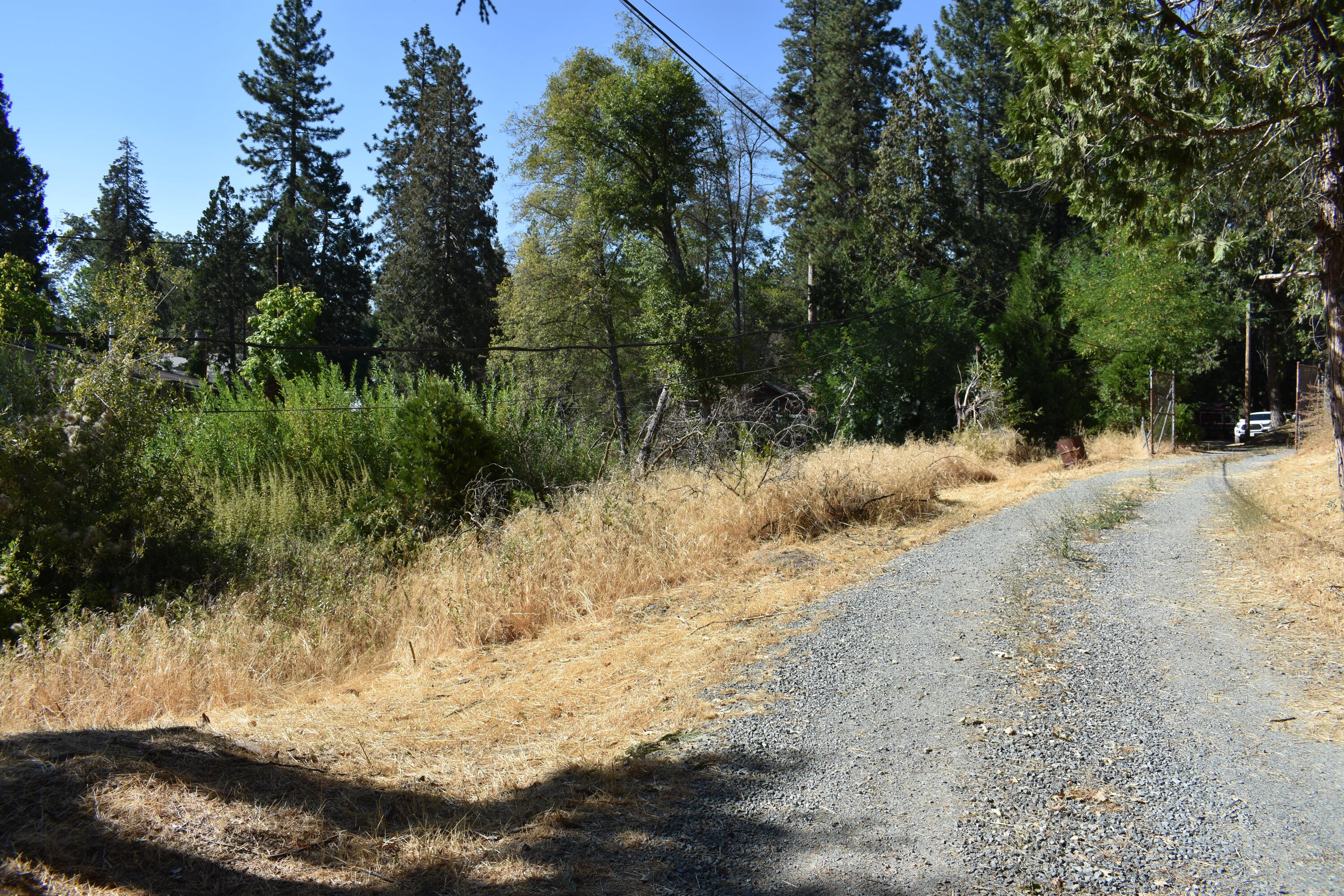 263 Rabbit Foot Trail Trl, California Hot Springs, CA 93207