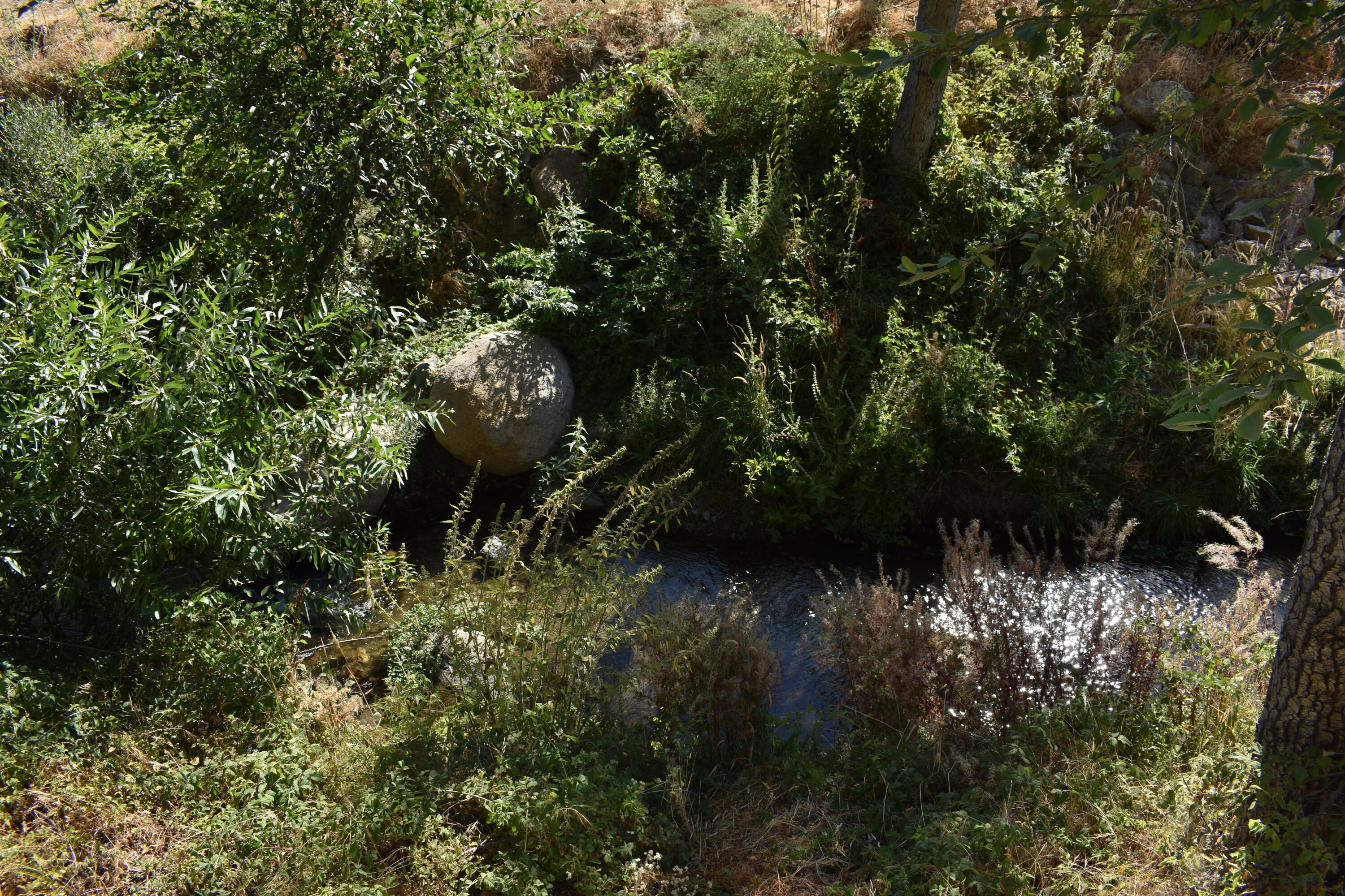 263 Rabbit Foot Trail Trl, California Hot Springs, CA 93207