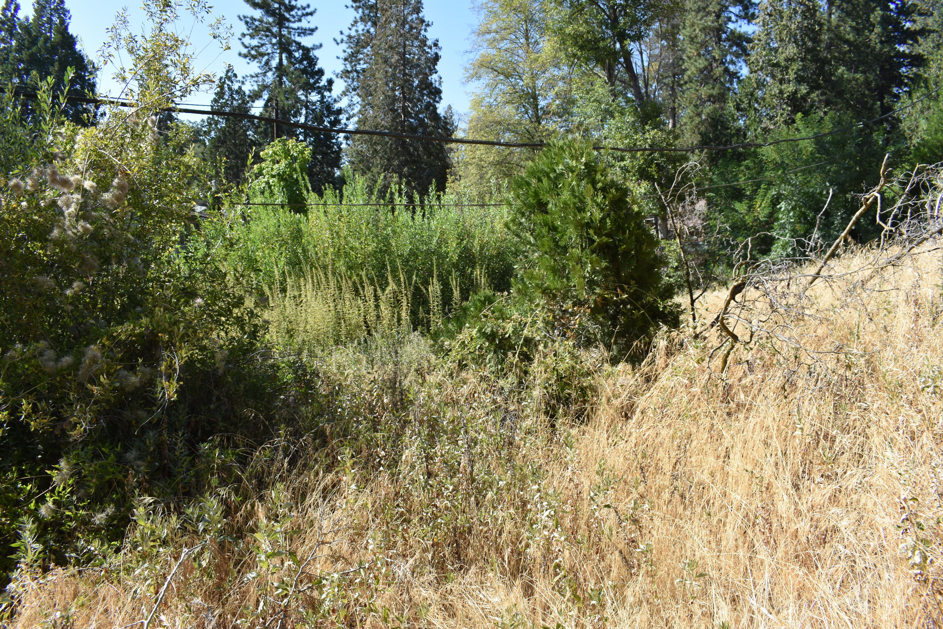 263 Rabbit Foot Trail Trl, California Hot Springs, CA 93207