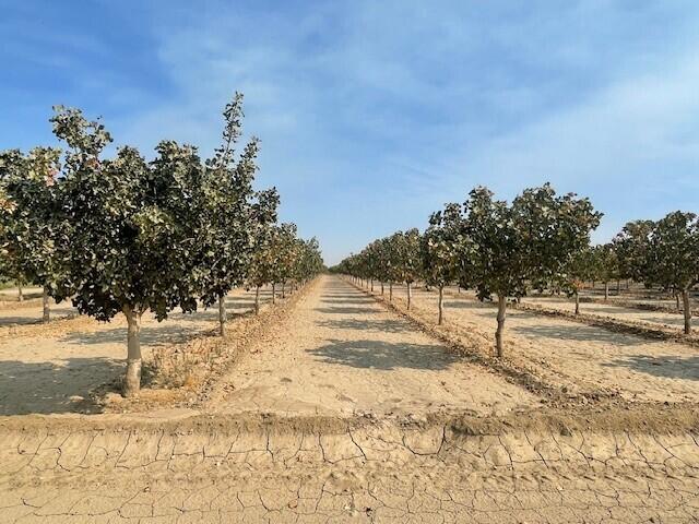 0 Avenue 144, Tipton, CA 93272