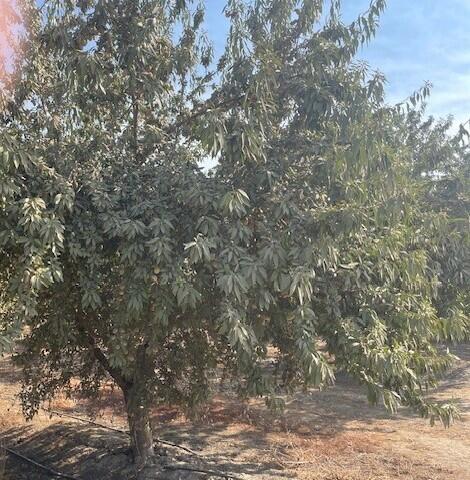 0 Avenue 144, Tipton, CA 93272