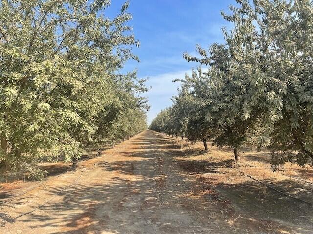 0 Avenue 144, Tipton, CA 93272