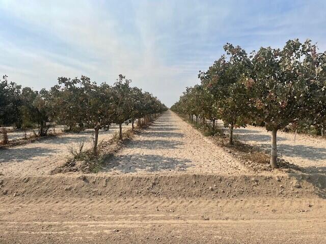 0 Avenue 144, Tipton, CA 93272