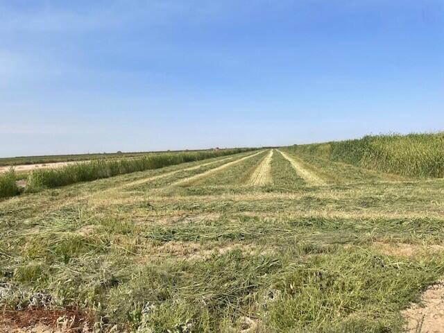 0 Avenue 144, Tipton, CA 93272