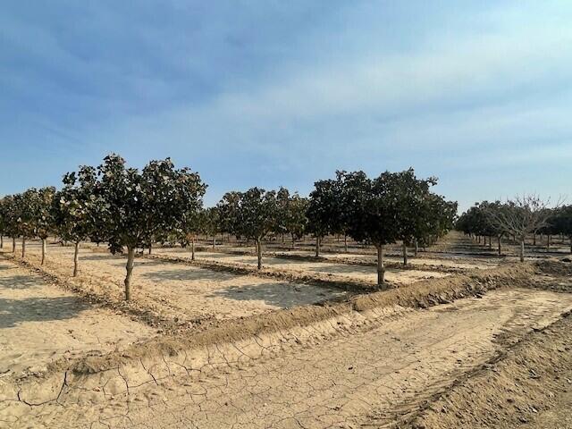 0 Avenue 144, Tipton, CA 93272