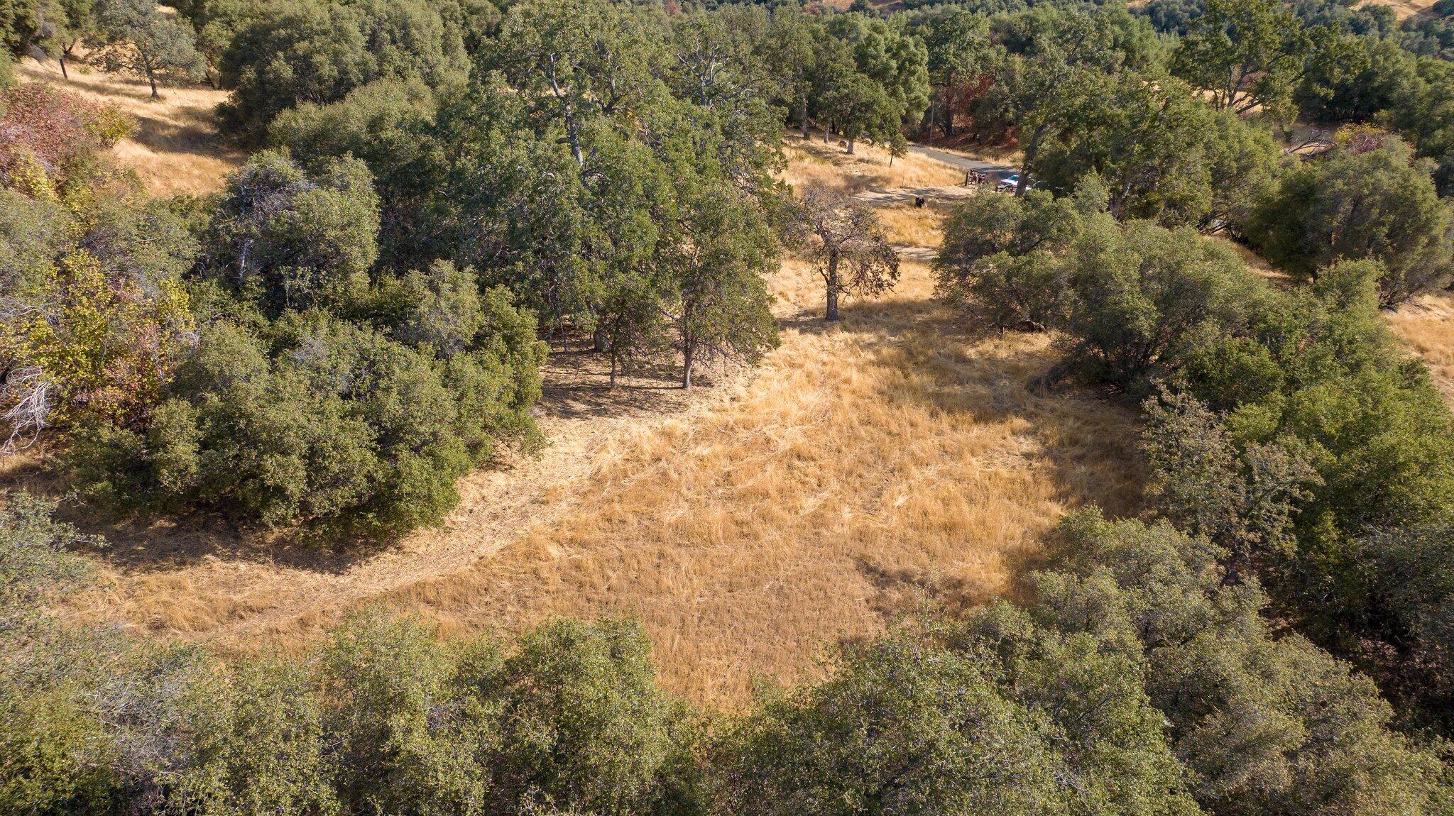 000 Whitaker Forrest Rd Rd, Badger, CA 93603