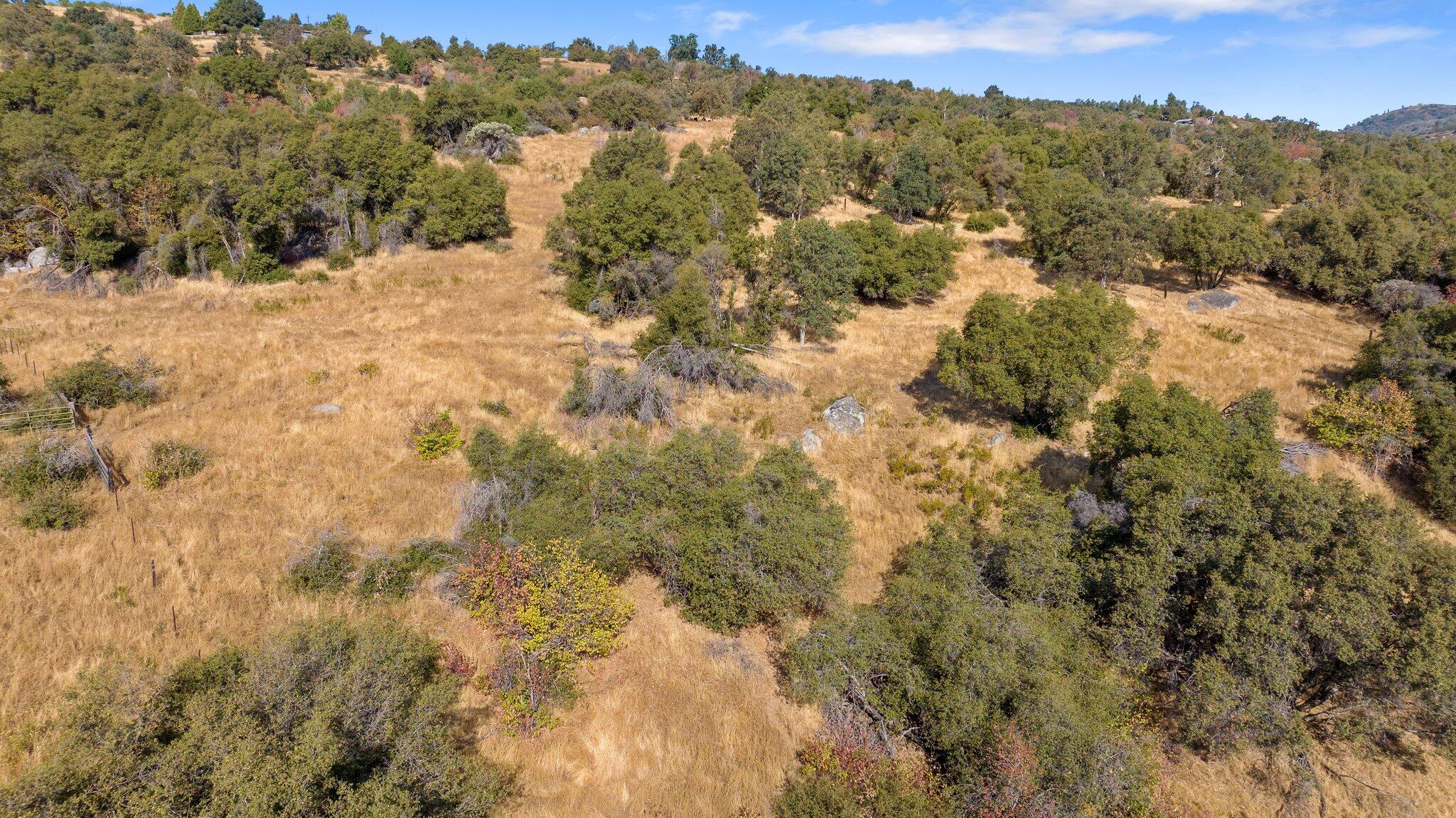 000 Whitaker Forrest Rd Rd, Badger, CA 93603