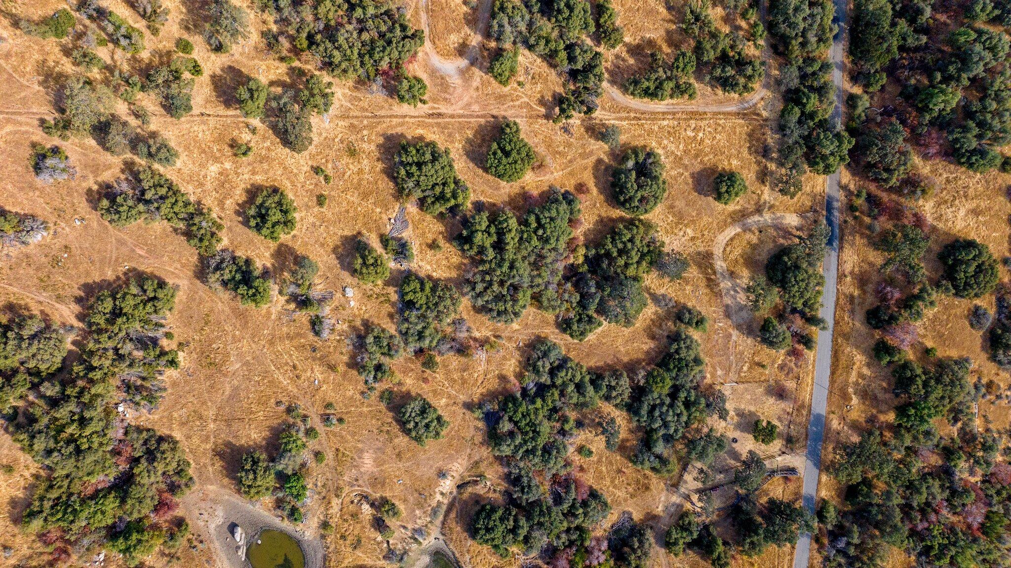 000 Whitaker Forrest Rd Rd, Badger, CA 93603