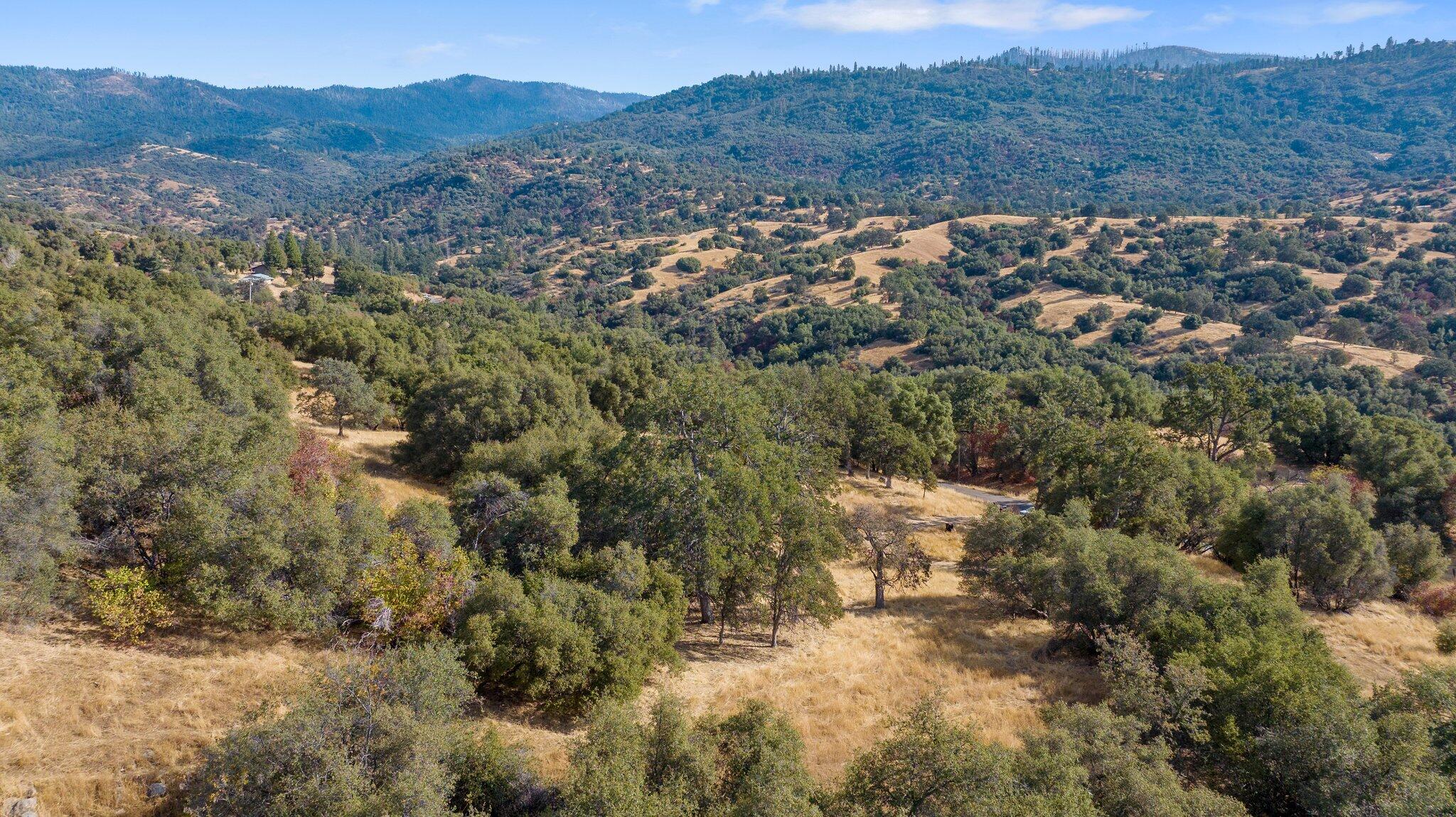 000 Whitaker Forrest Rd Rd, Badger, CA 93603