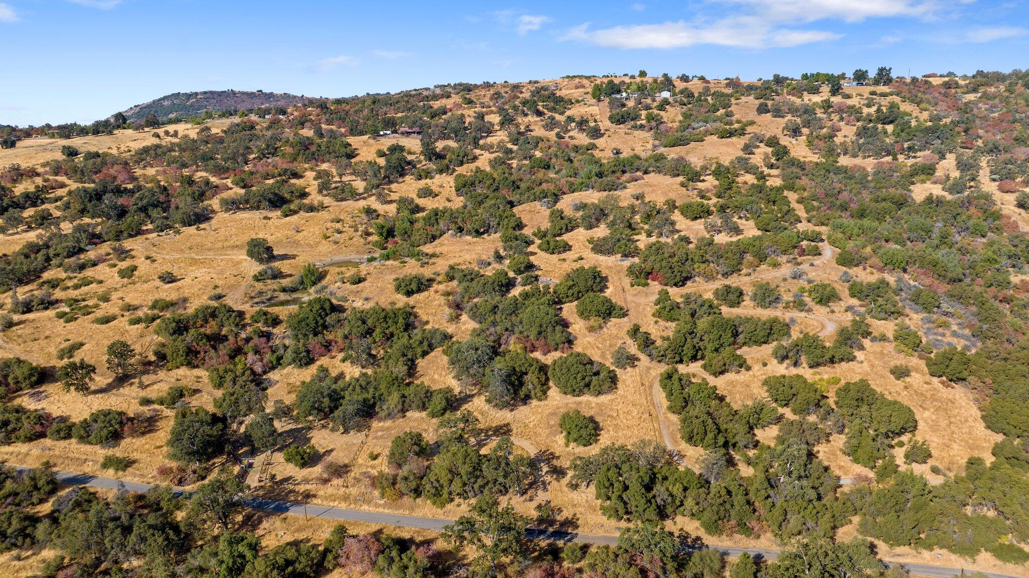 000 Whitaker Forrest Rd Rd, Badger, CA 93603