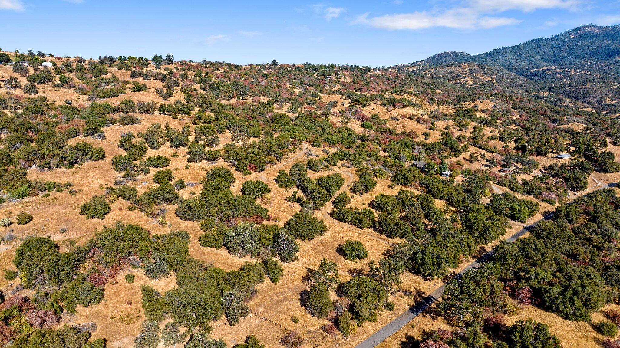 000 Whitaker Forrest Rd Rd, Badger, CA 93603