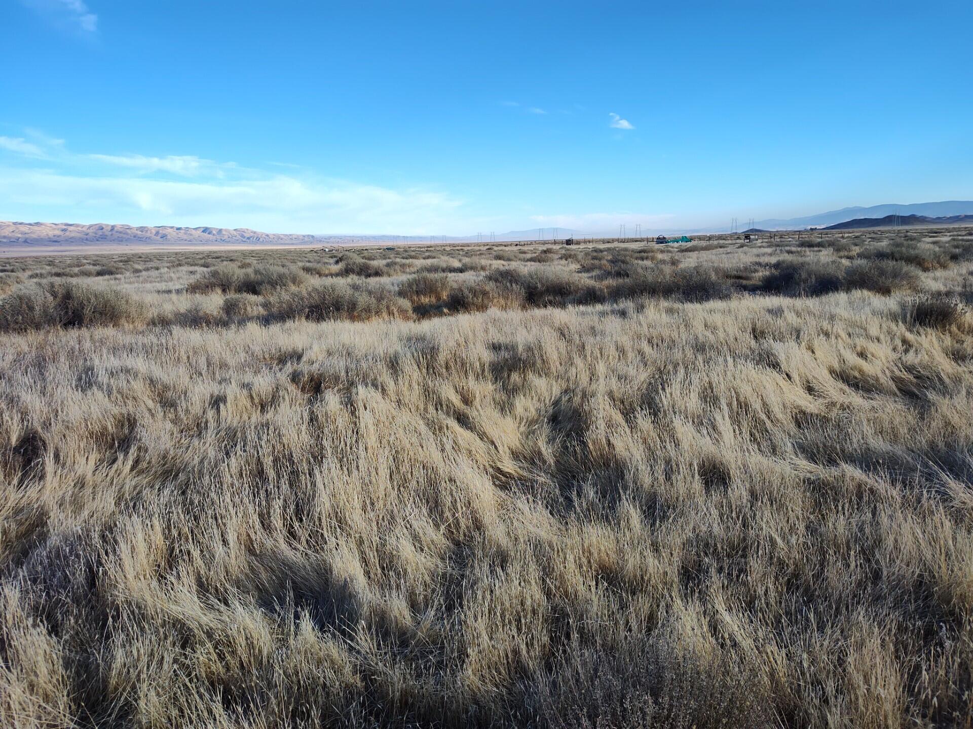 0000 College City, California Valley, CA 93453