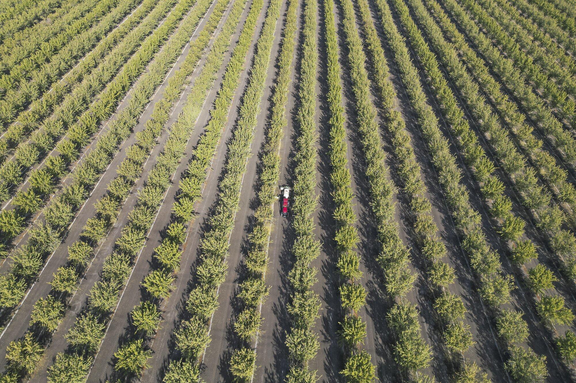 0 W Springfield Ave, San Joaquin, CA 93660