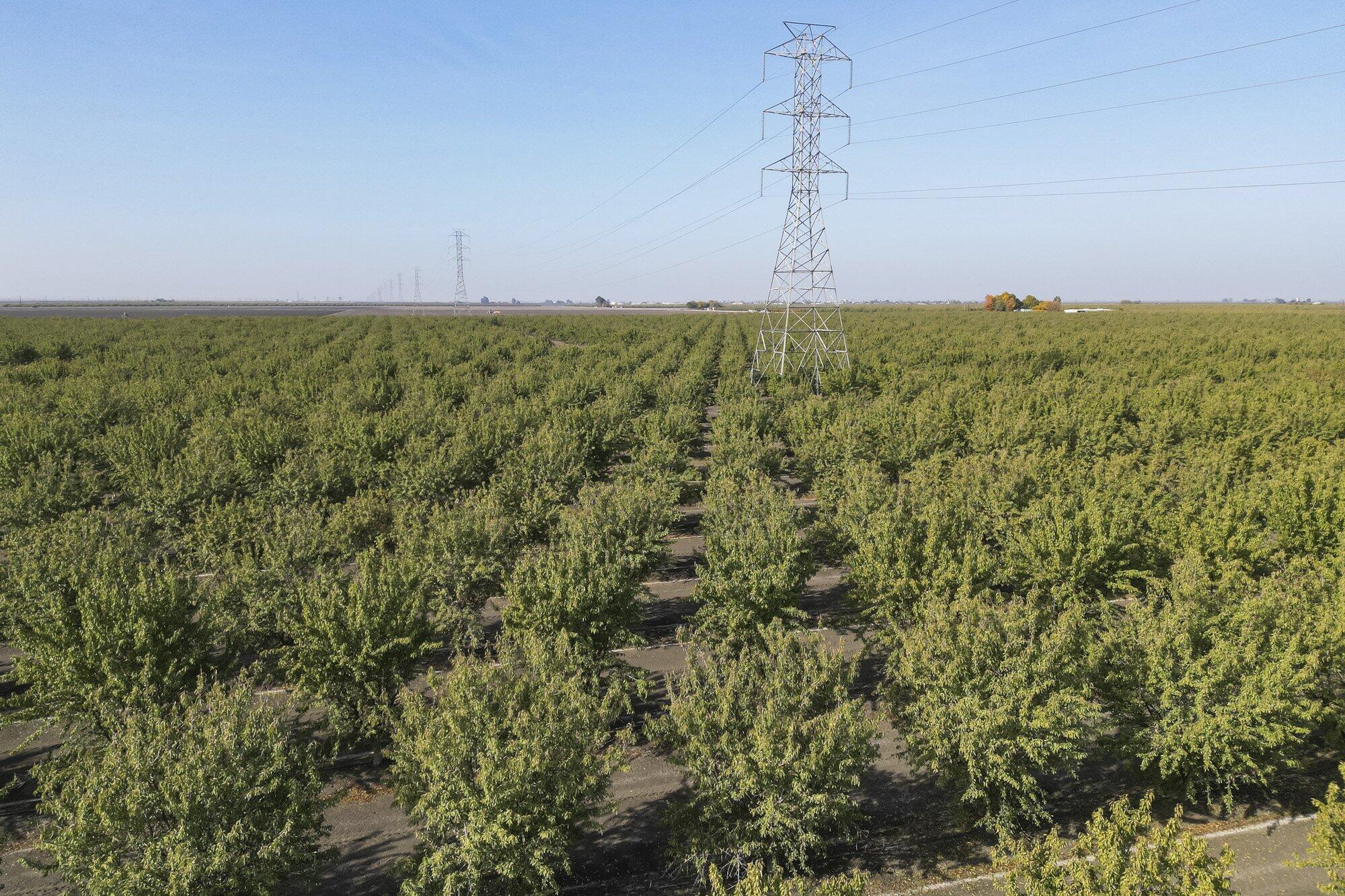 0 W Springfield Ave, San Joaquin, CA 93660