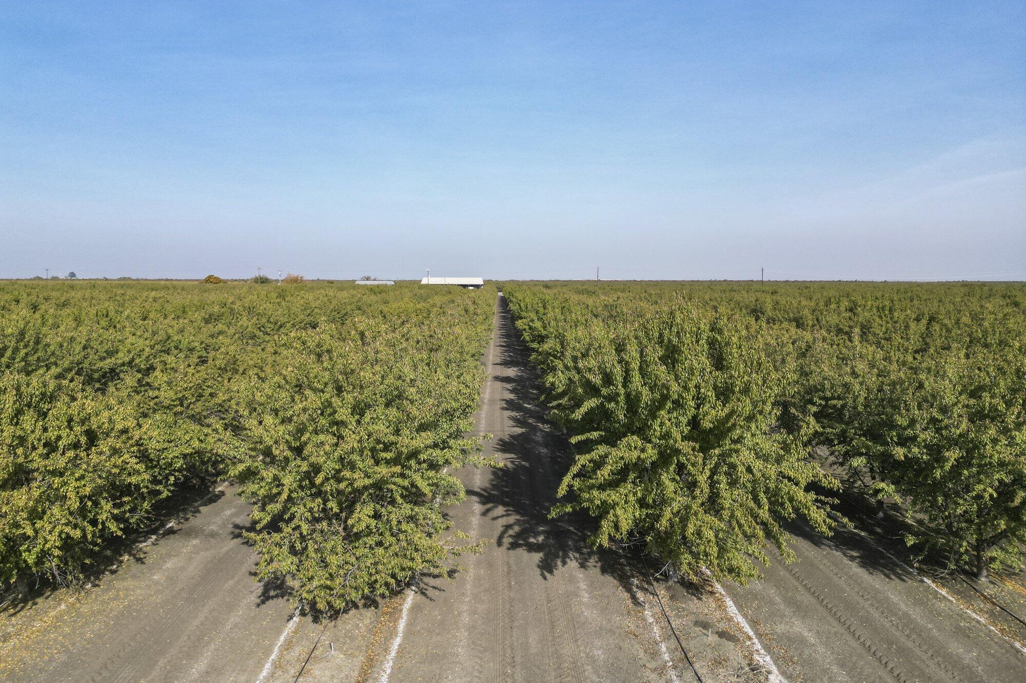 0 W Springfield Ave, San Joaquin, CA 93660