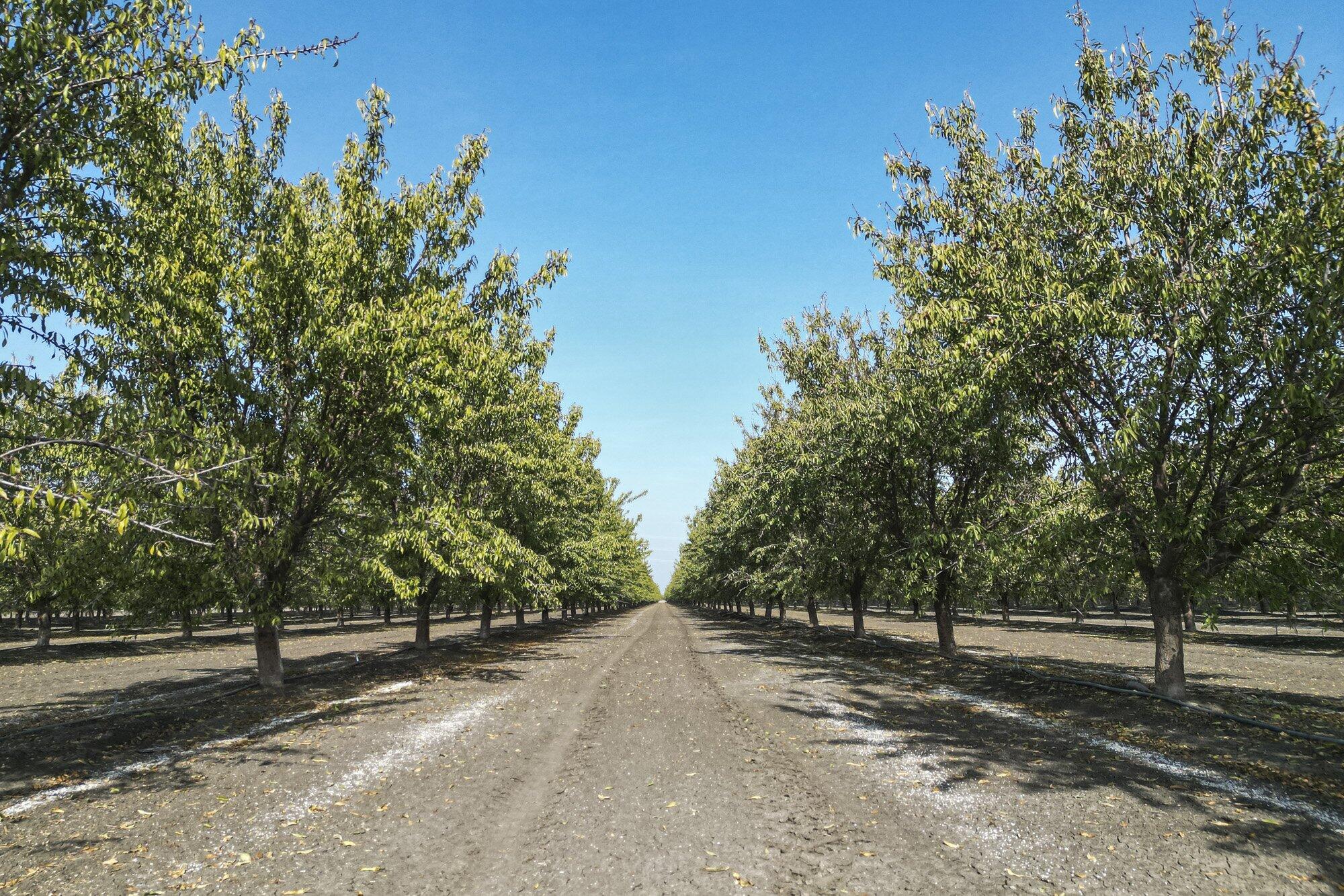 0 W Springfield Ave, San Joaquin, CA 93660