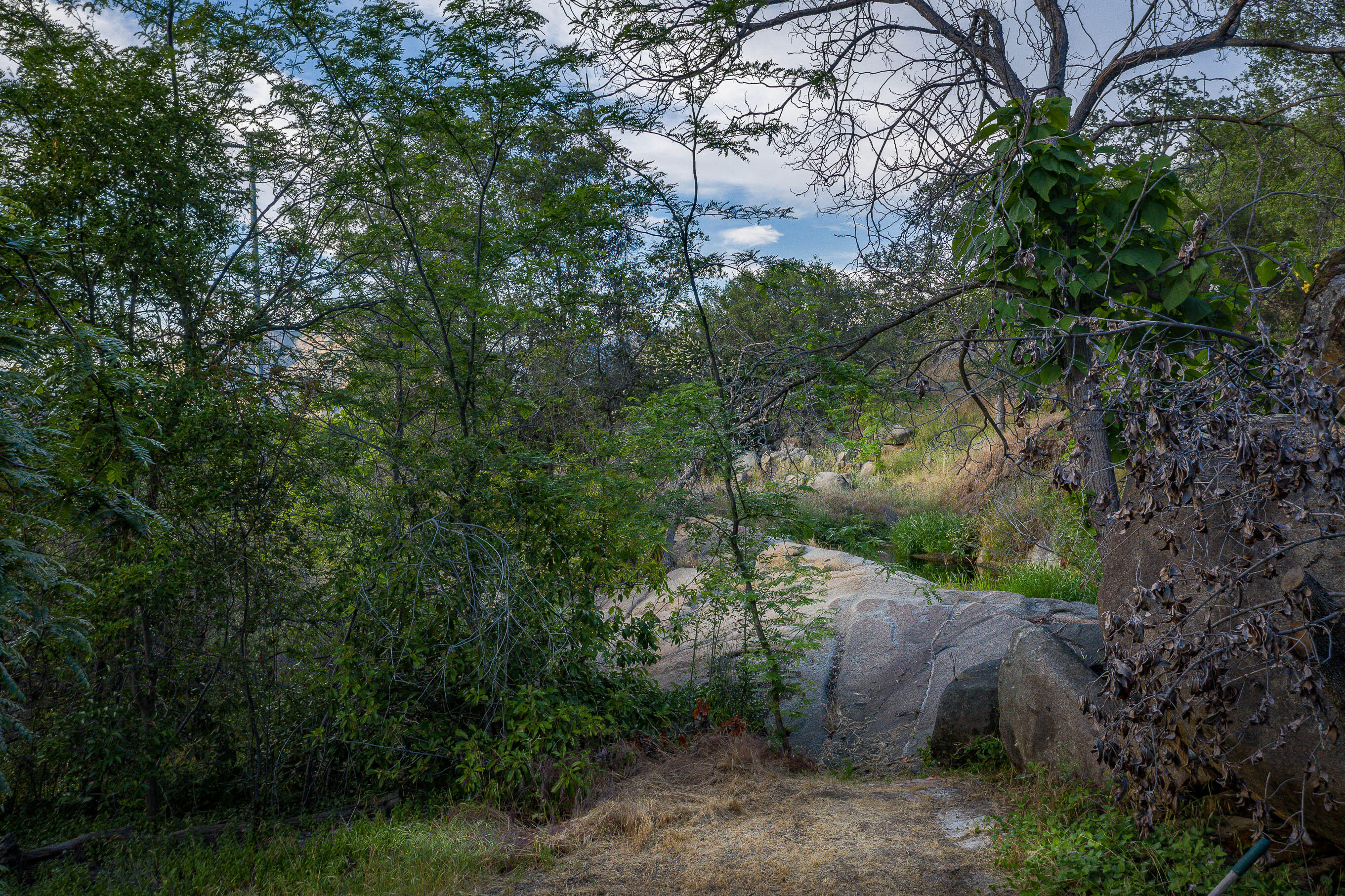 41518 Sierra Dr, Three Rivers, CA 93271