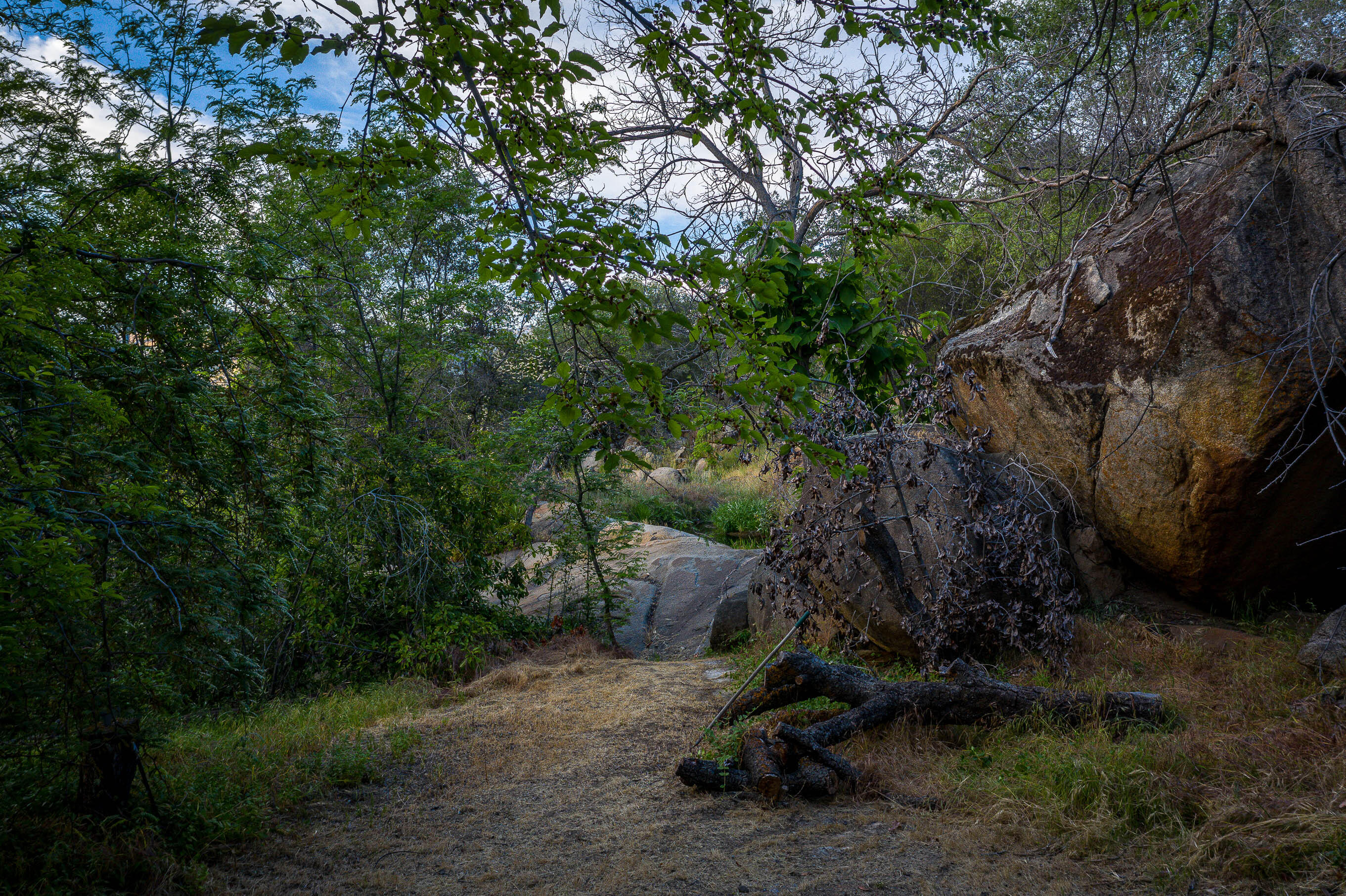 41518 Sierra Dr, Three Rivers, CA 93271