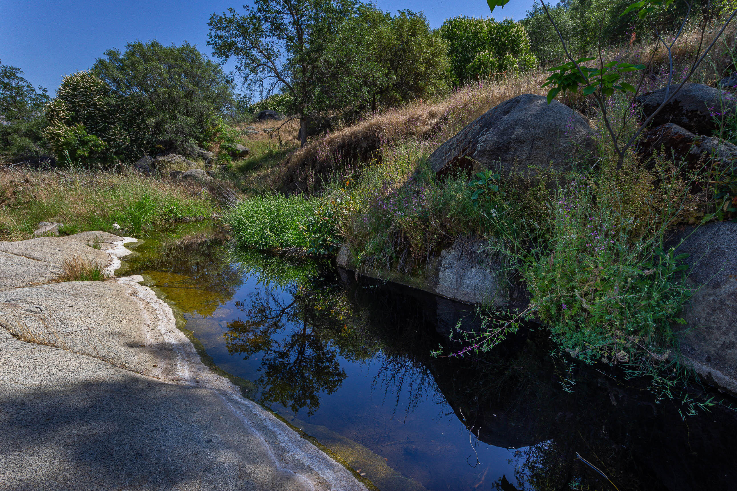 41518 Sierra Dr, Three Rivers, CA 93271