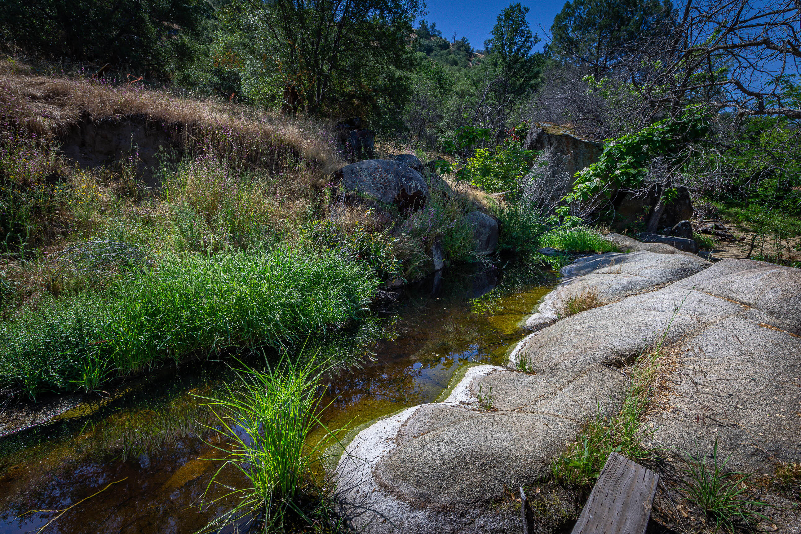 41518 Sierra Dr, Three Rivers, CA 93271