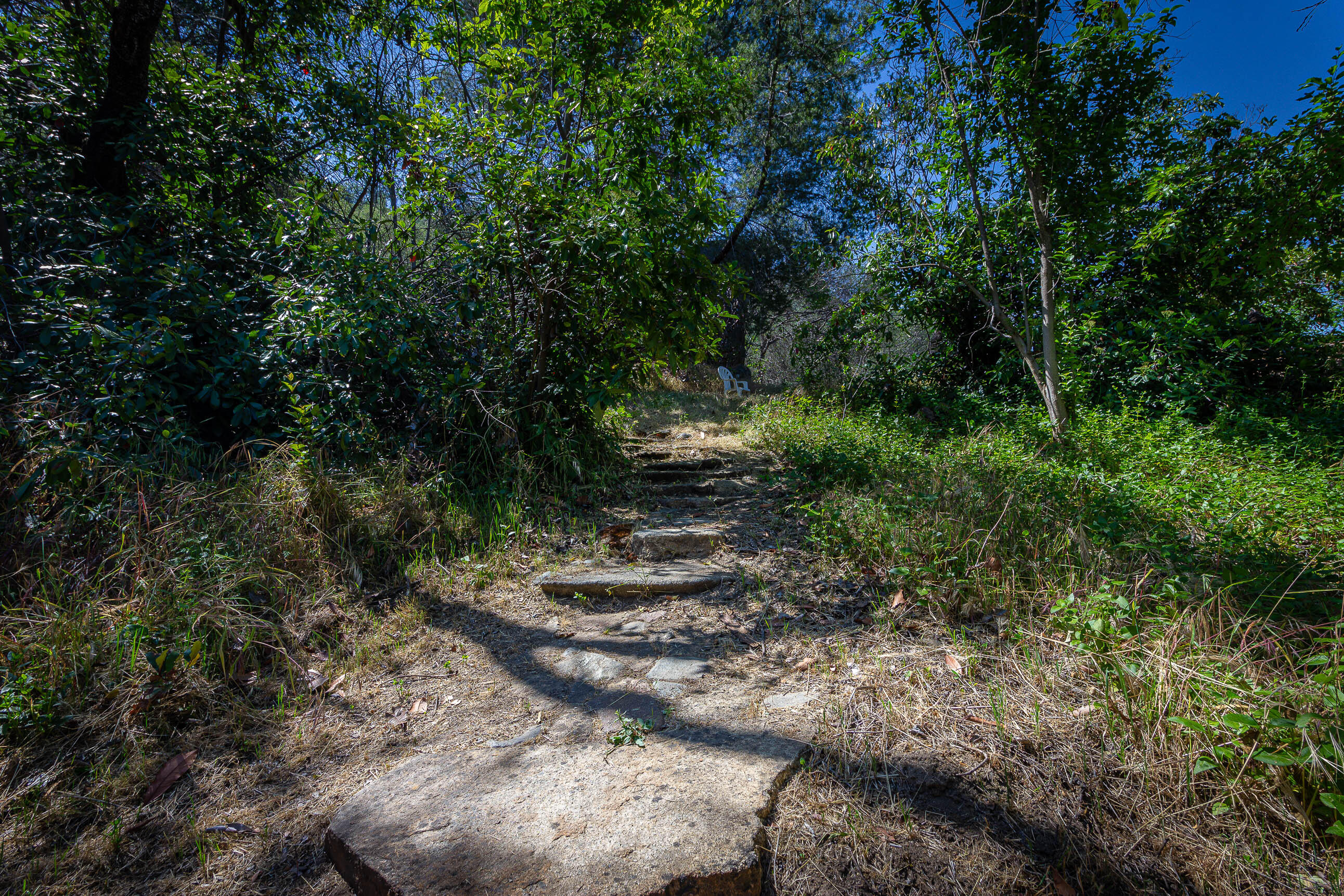 41518 Sierra Dr, Three Rivers, CA 93271