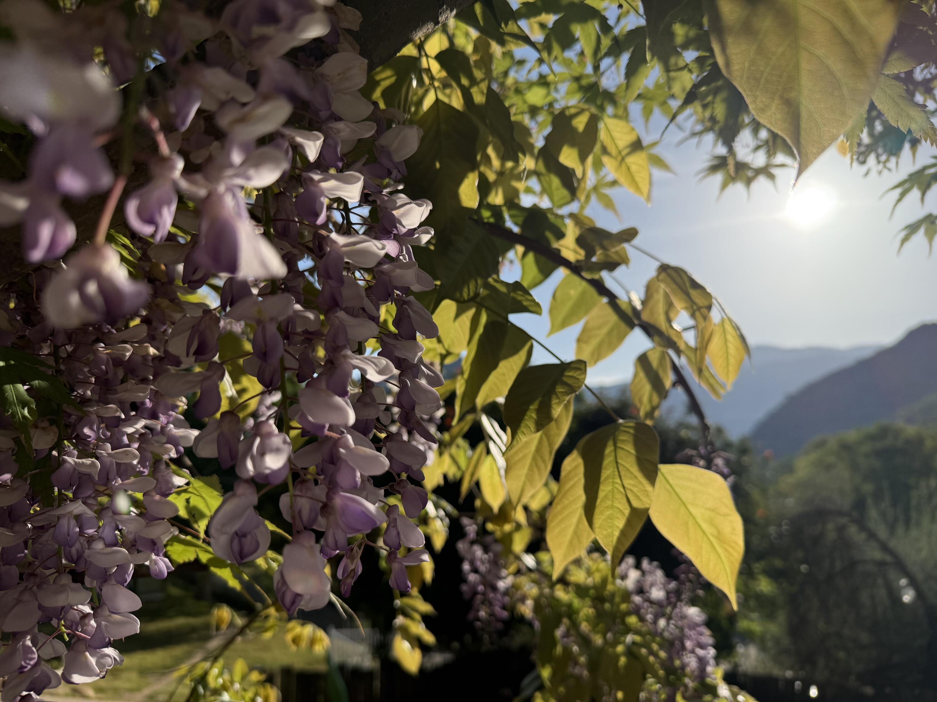 40820 Oak Ridge Dr, Three Rivers, CA 93271