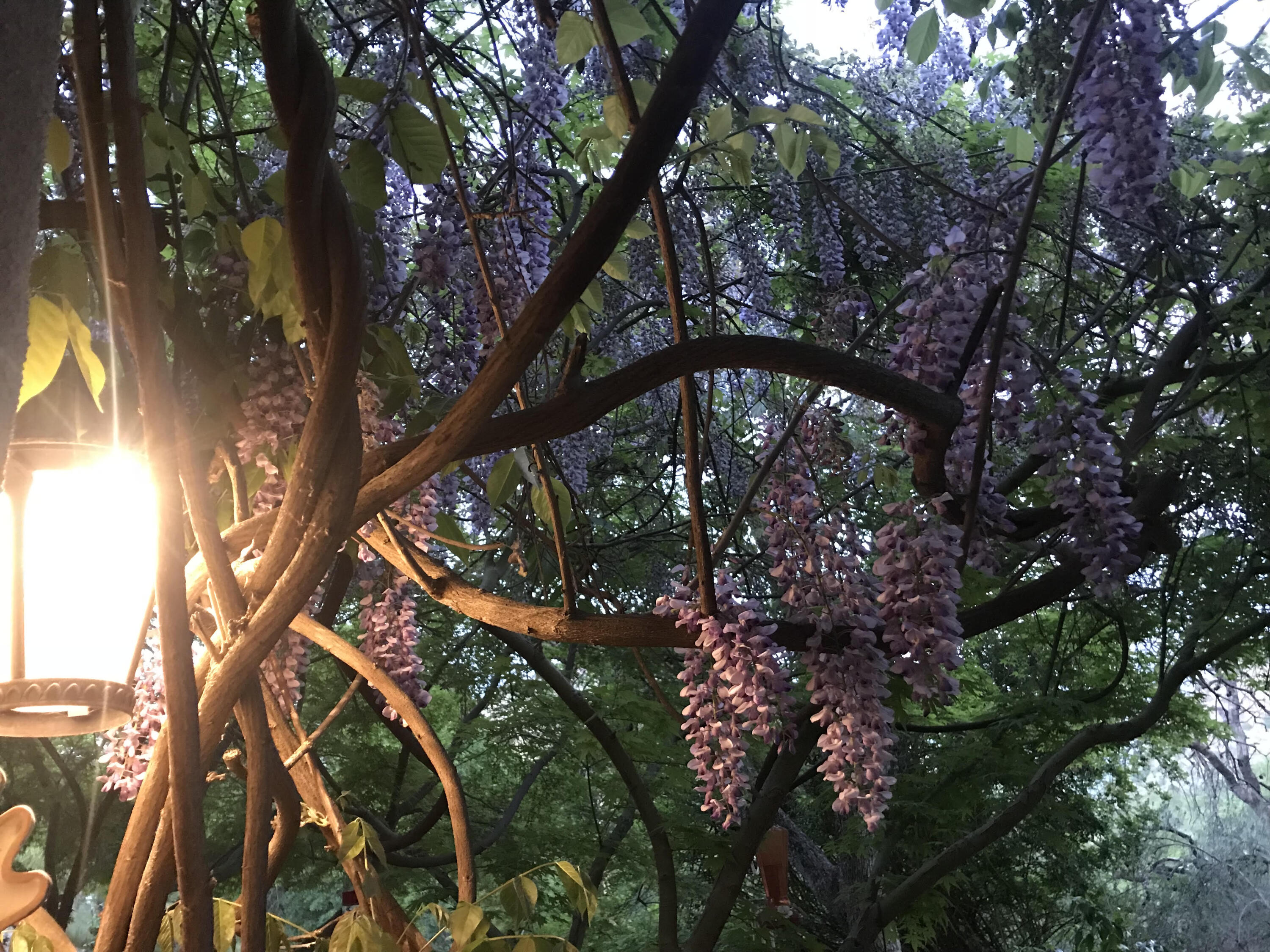 40820 Oak Ridge Dr, Three Rivers, CA 93271