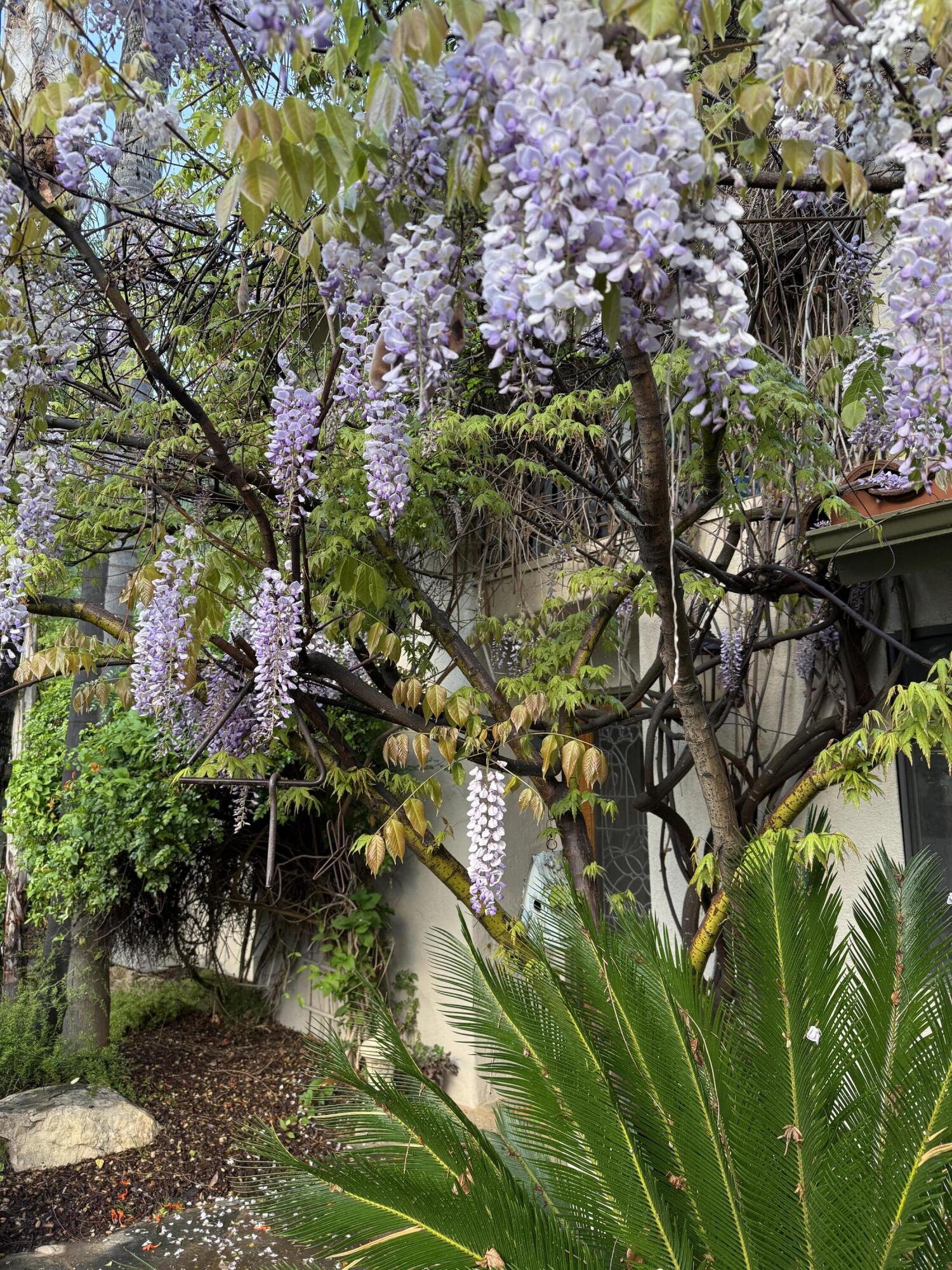 40820 Oak Ridge Dr, Three Rivers, CA 93271