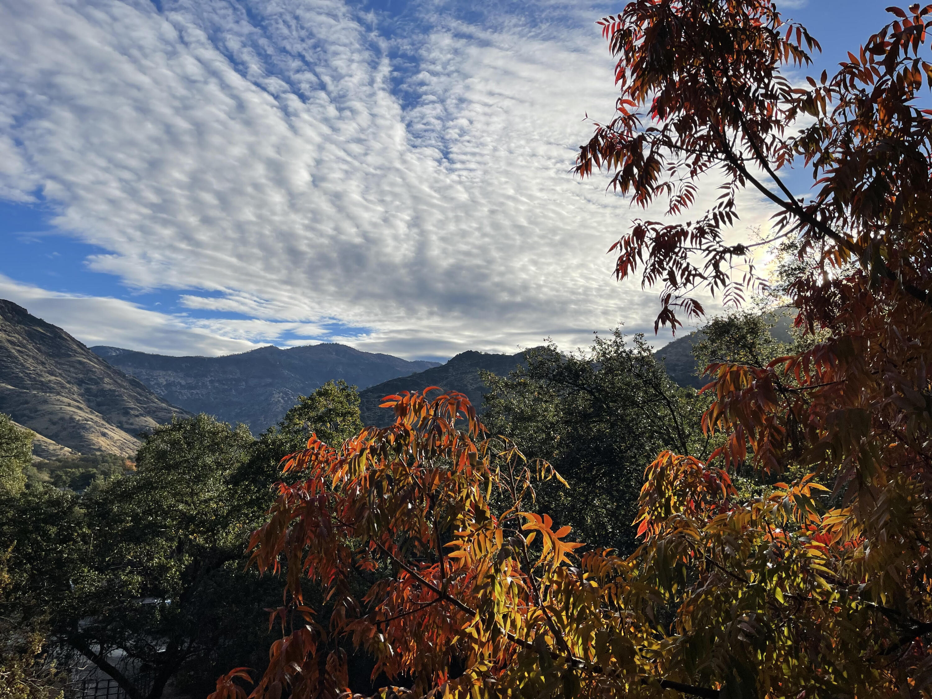 40820 Oak Ridge Dr, Three Rivers, CA 93271