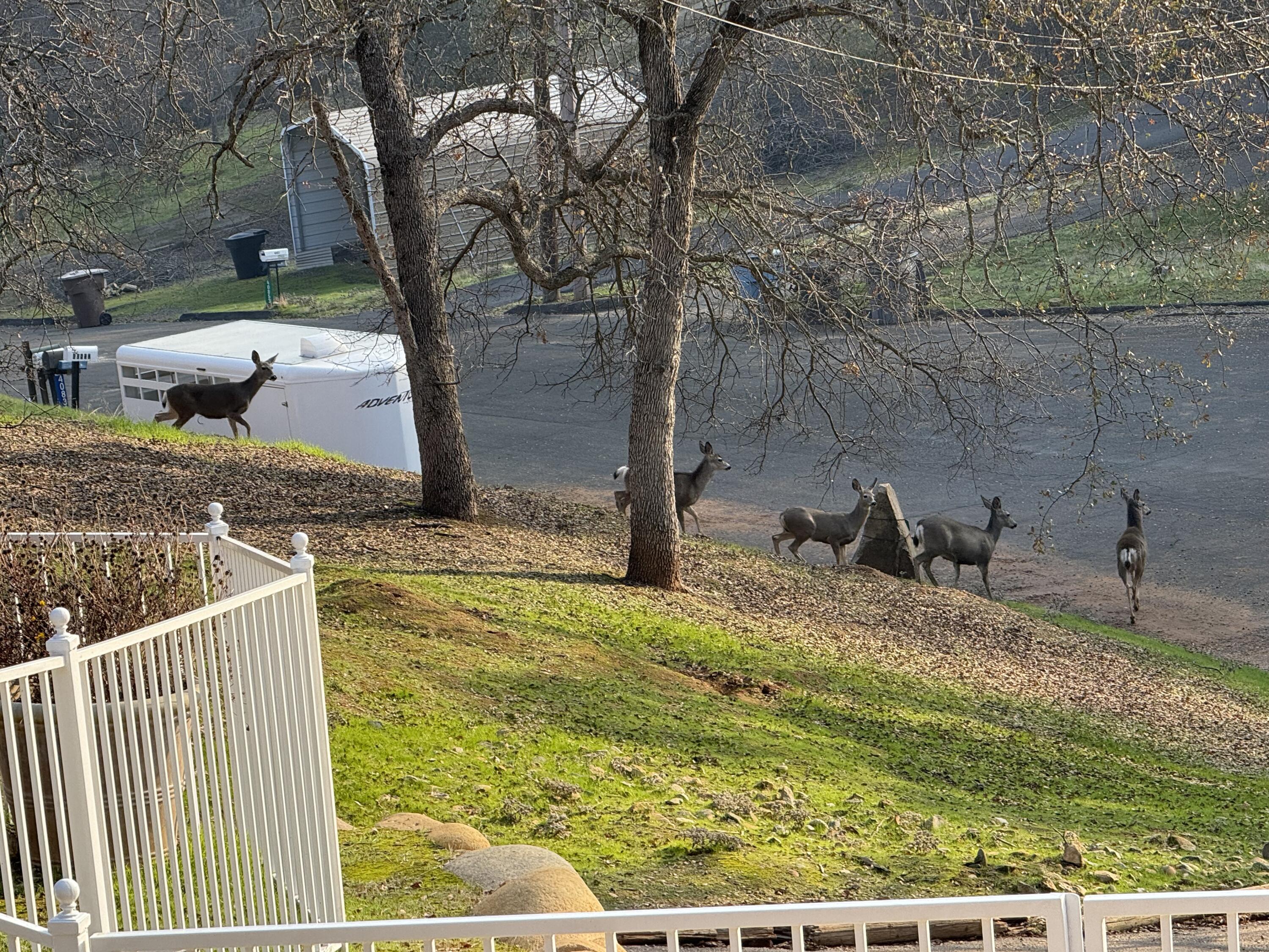 40820 Oak Ridge Dr, Three Rivers, CA 93271