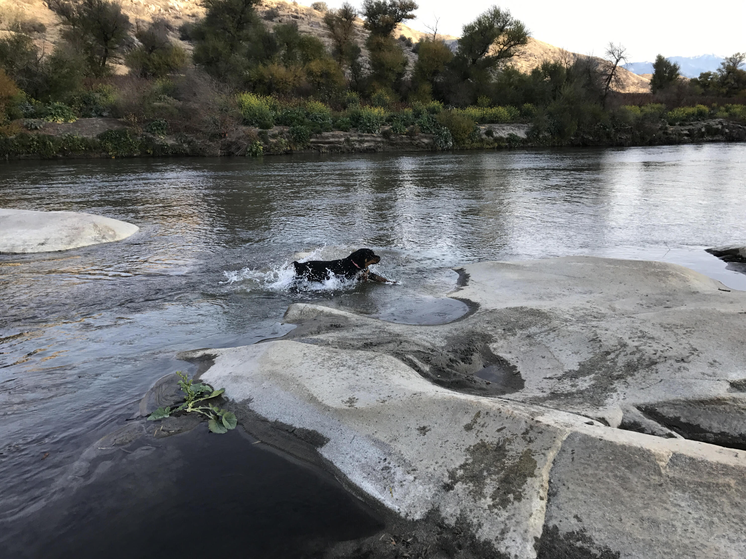 40820 Oak Ridge Dr, Three Rivers, CA 93271