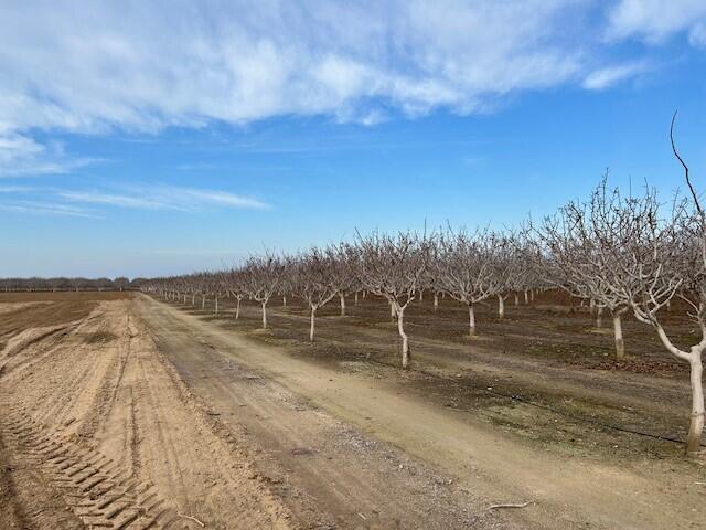 0 Cecil Ave, Delano, CA 93215