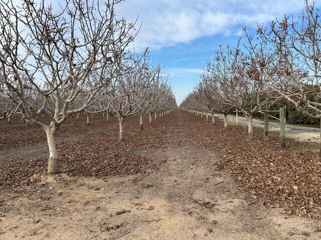 0 Cecil Ave, Delano, CA 93215