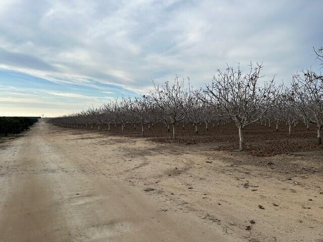 0 Cecil Ave, Delano, CA 93215