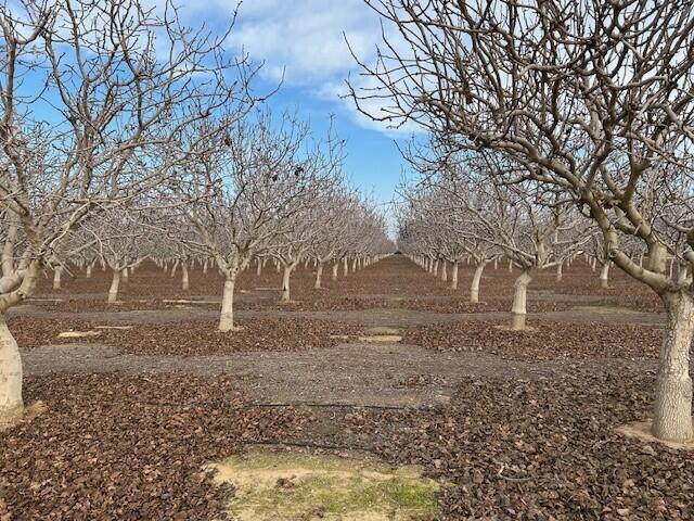 0 Bassett Ave, Delano, CA 93215