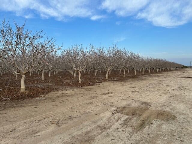 0 Bassett Ave, Delano, CA 93215